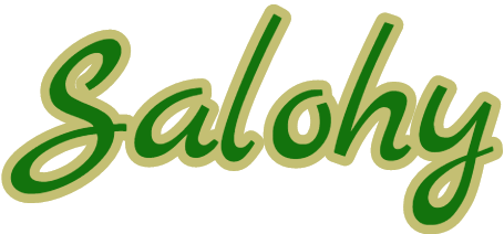 Salohy